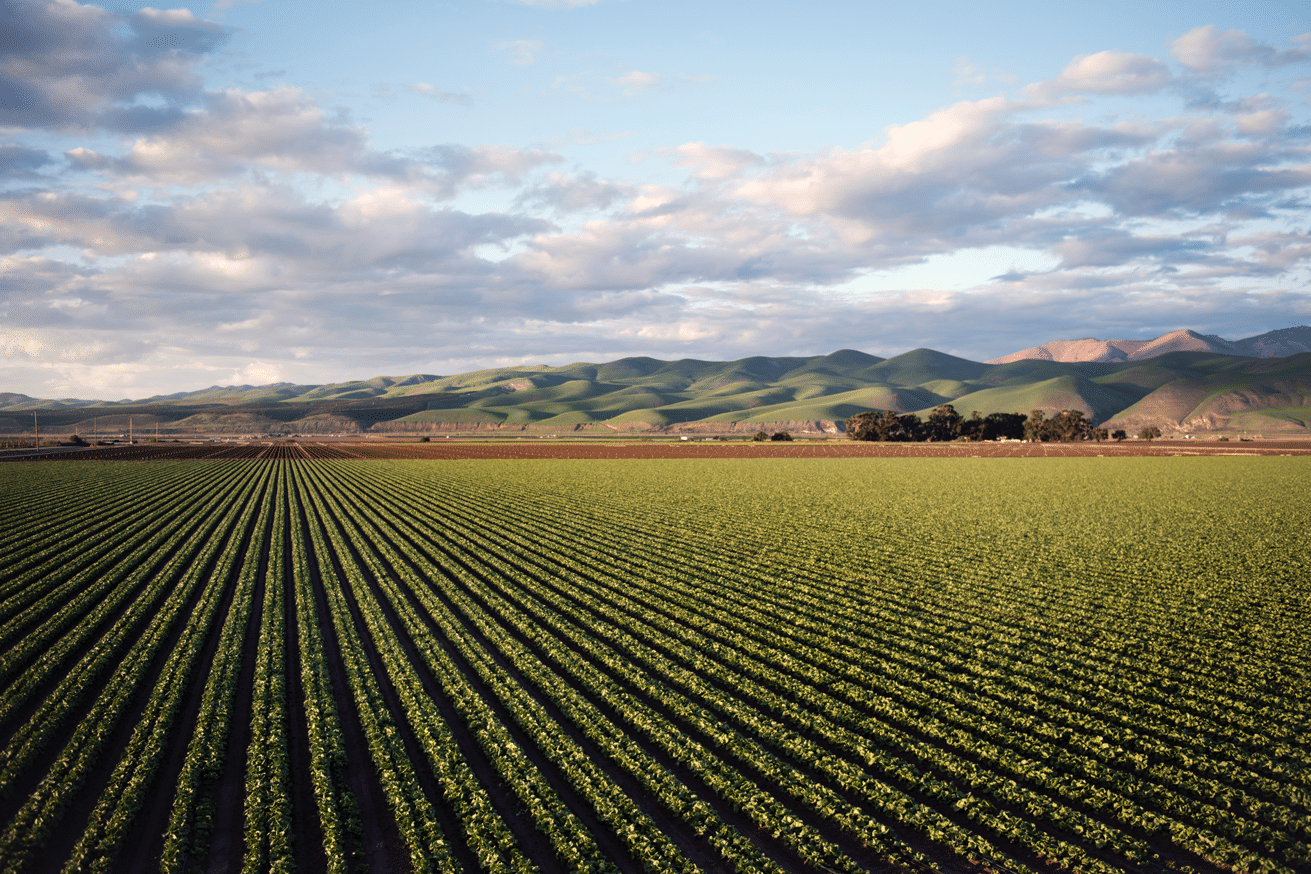 Bombas para agricultura